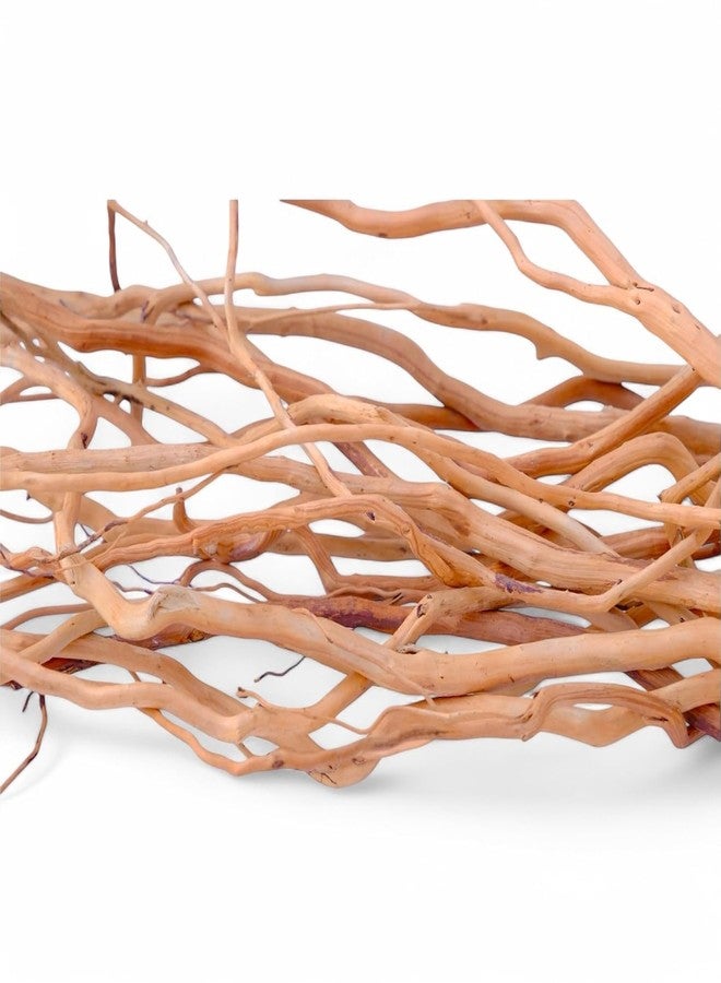 Maalavya Natural Aquarium Drift Wood for Fish Tank, Aquascape & Terrarium Décor | Planted Tank Wood | 20-25 Inch | 300 gm - Image 1